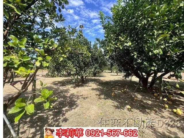 台南麻豆農地-14