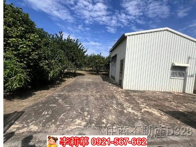 台南麻豆農地-1