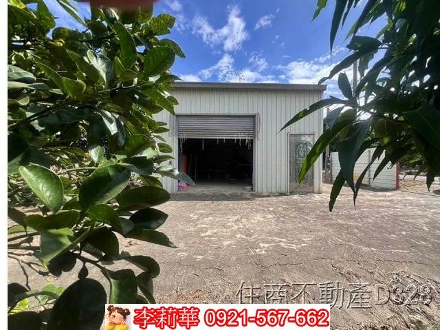 台南麻豆農地-4