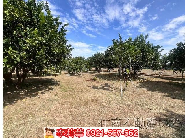 台南麻豆農地-5