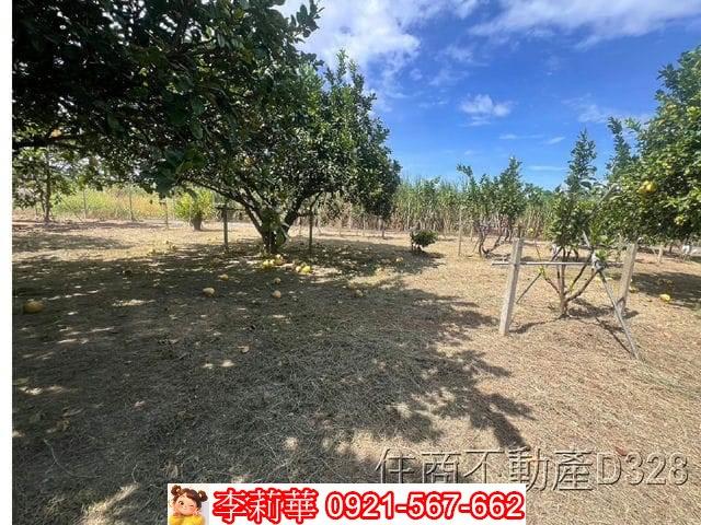 台南麻豆農地-7