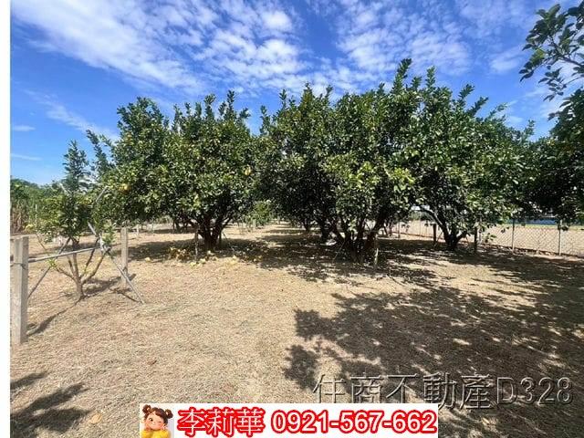 台南麻豆農地-8