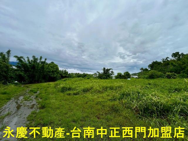 池上農地-0