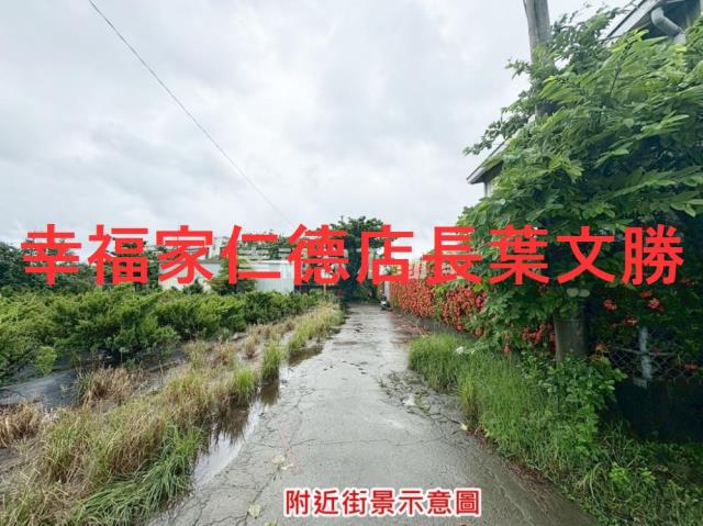 台南仁德農地-2