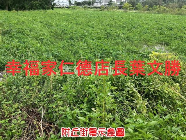 新市農地-3