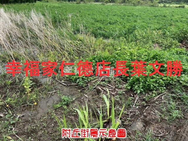 新市農地-4