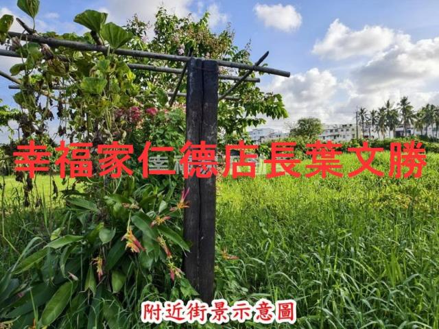 歸仁農地-14