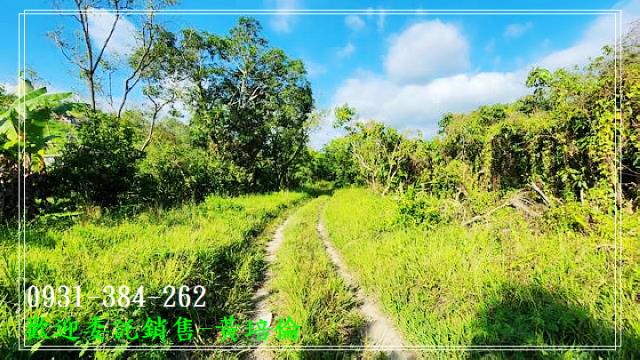 左鎮內庄子段一般農地