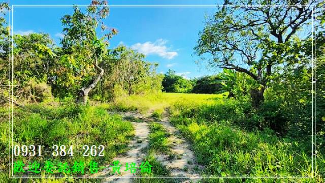 台南培倫房屋土地王,