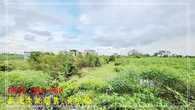 近竹橋國小休閒農地