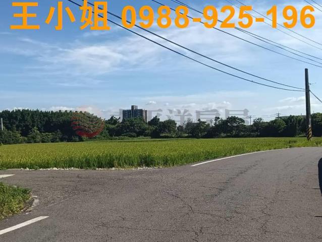 桃園大園農地-1