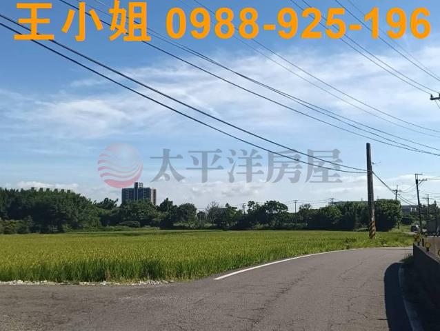 桃園大園農地-2