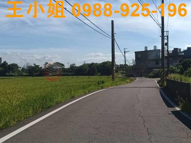 桃園大園農地-4