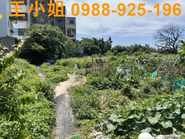 桃園大園農地-9