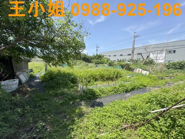 桃園大園農地-10