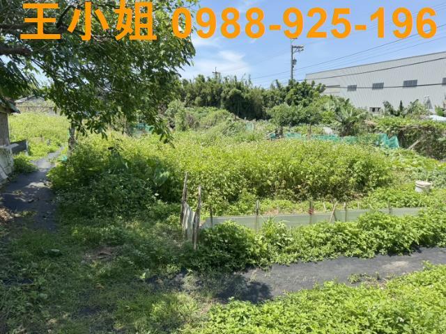 桃園大園農地-8