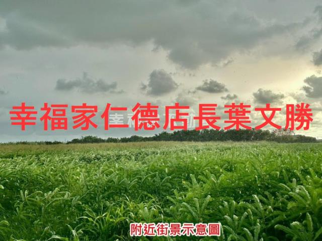 善化農地-9