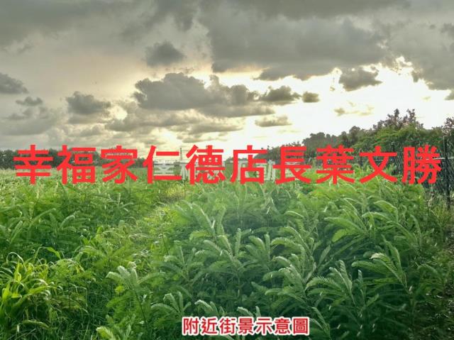 善化農地-11