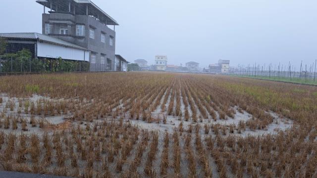 高雄農地-2