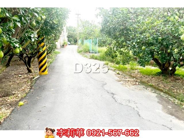 台南麻豆農地-9