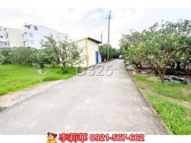 台南麻豆農地-2