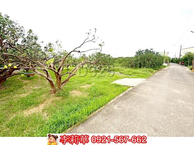 台南麻豆農地-6