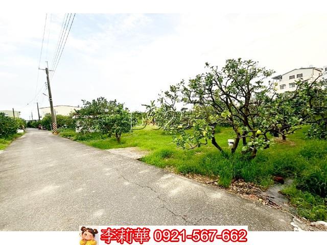 台南麻豆農地-7