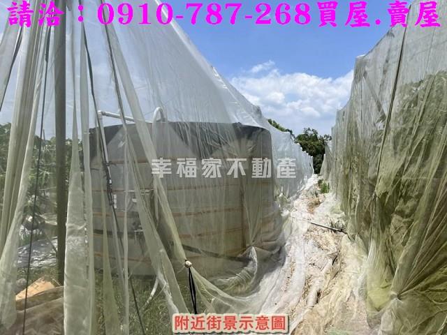 台南楠西農地-10