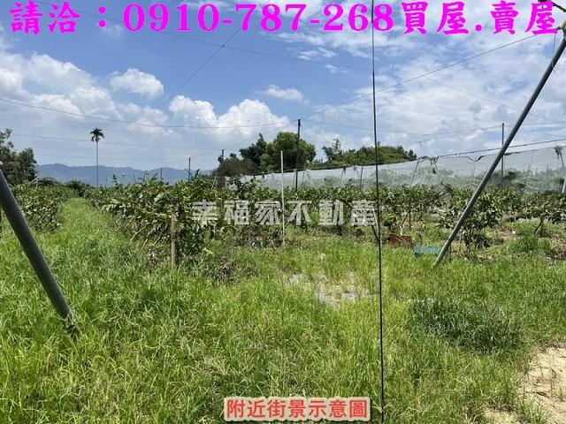 台南楠西農地-2