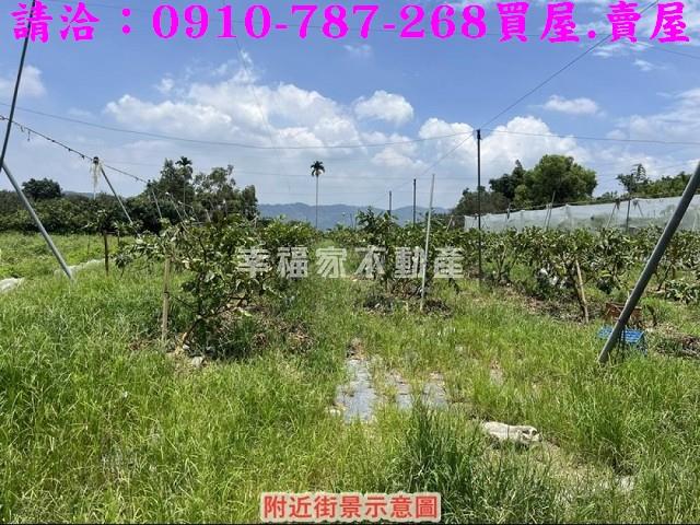 台南楠西農地-3