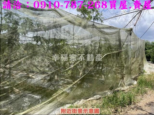 台南楠西農地-5