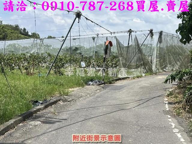 台南楠西農地-8