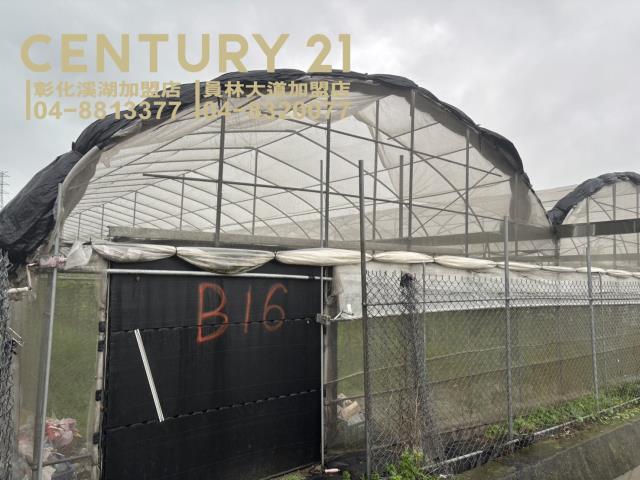 嘉義湖子內阿魯米嘉義建地農地台灣房屋湖子內特許加盟店富鑫團隊