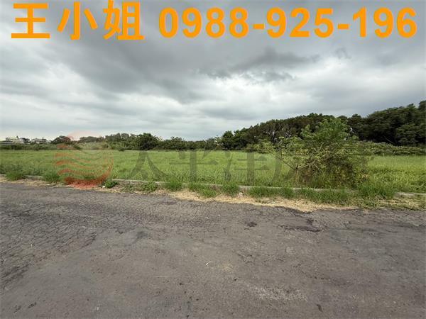 桃園中壢農地-1