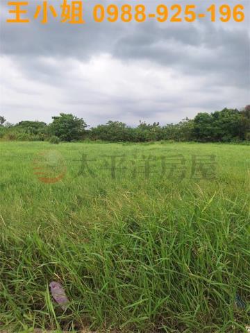 桃園中壢農地-2