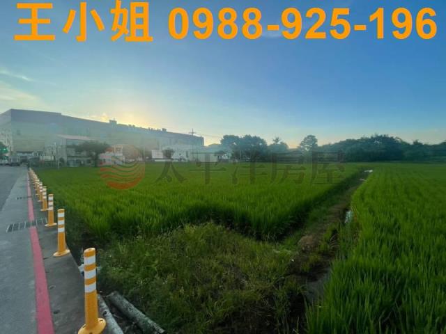 桃園中壢農地-10