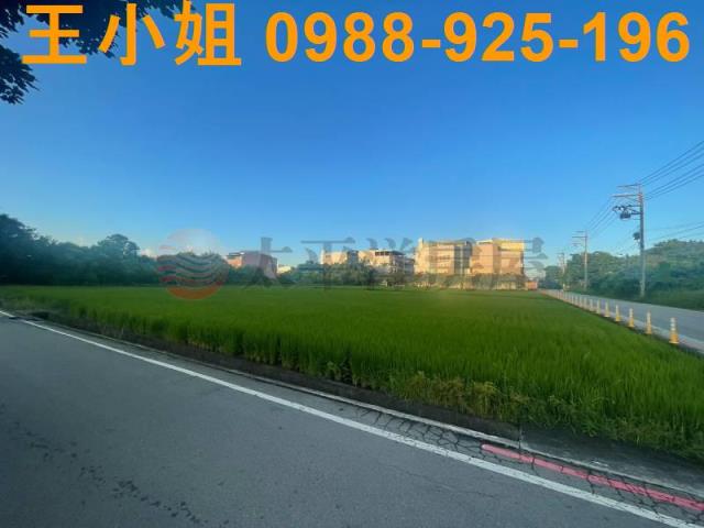 桃園中壢農地-11