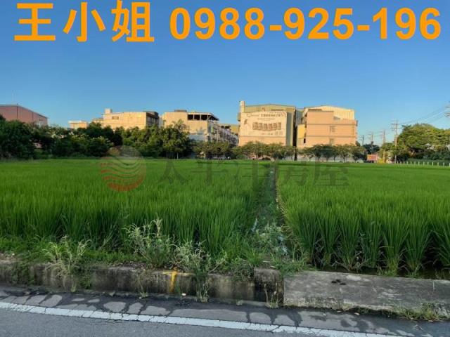 桃園中壢農地-13