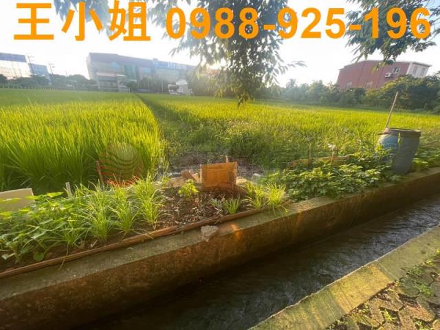 桃園中壢農地-1