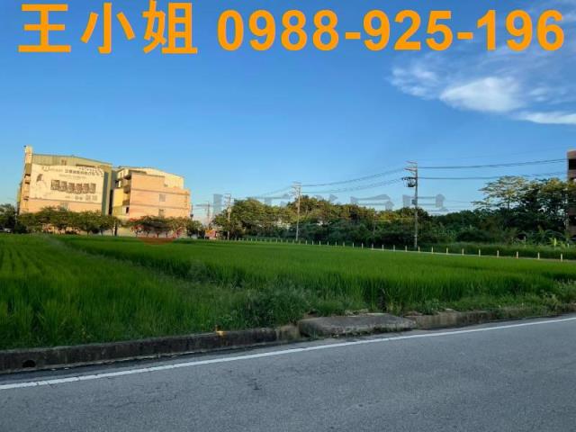 桃園中壢農地-2