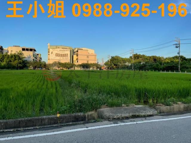 桃園中壢農地-3