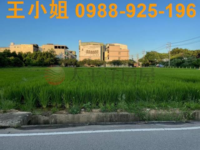 桃園中壢農地-4