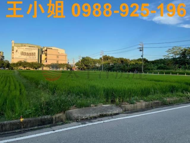 桃園中壢農地-5