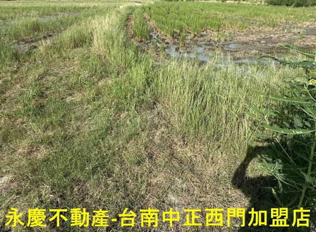 台南仁德農地-2