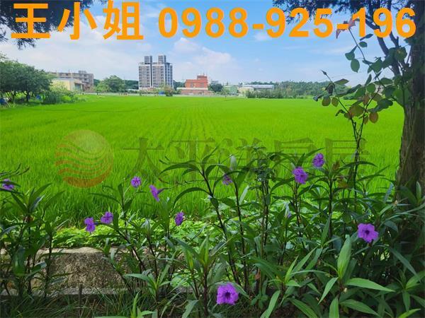 八德埤塘公園旁一般農地