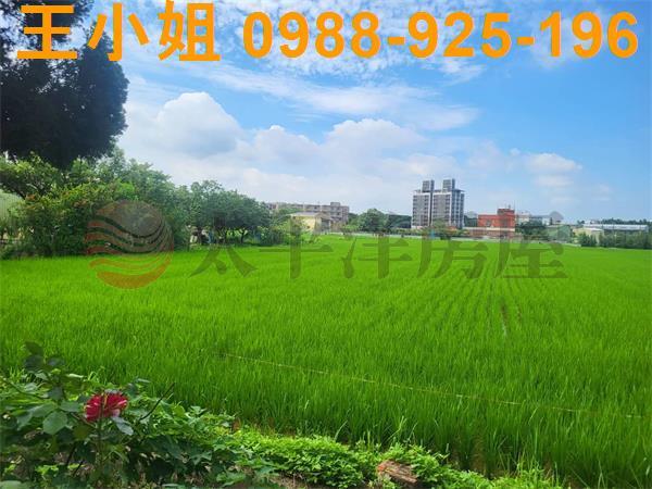 桃園中壢農地-3