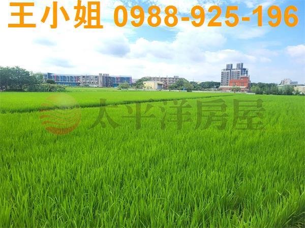 桃園中壢農地-4