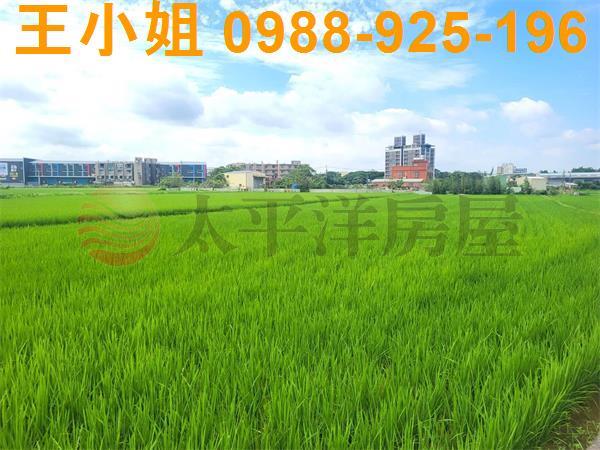 桃園中壢農地-5