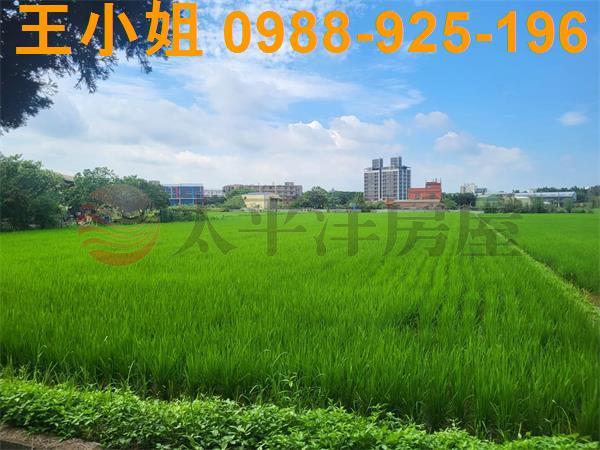 桃園中壢農地-6