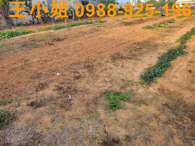 桃園中壢農地-3